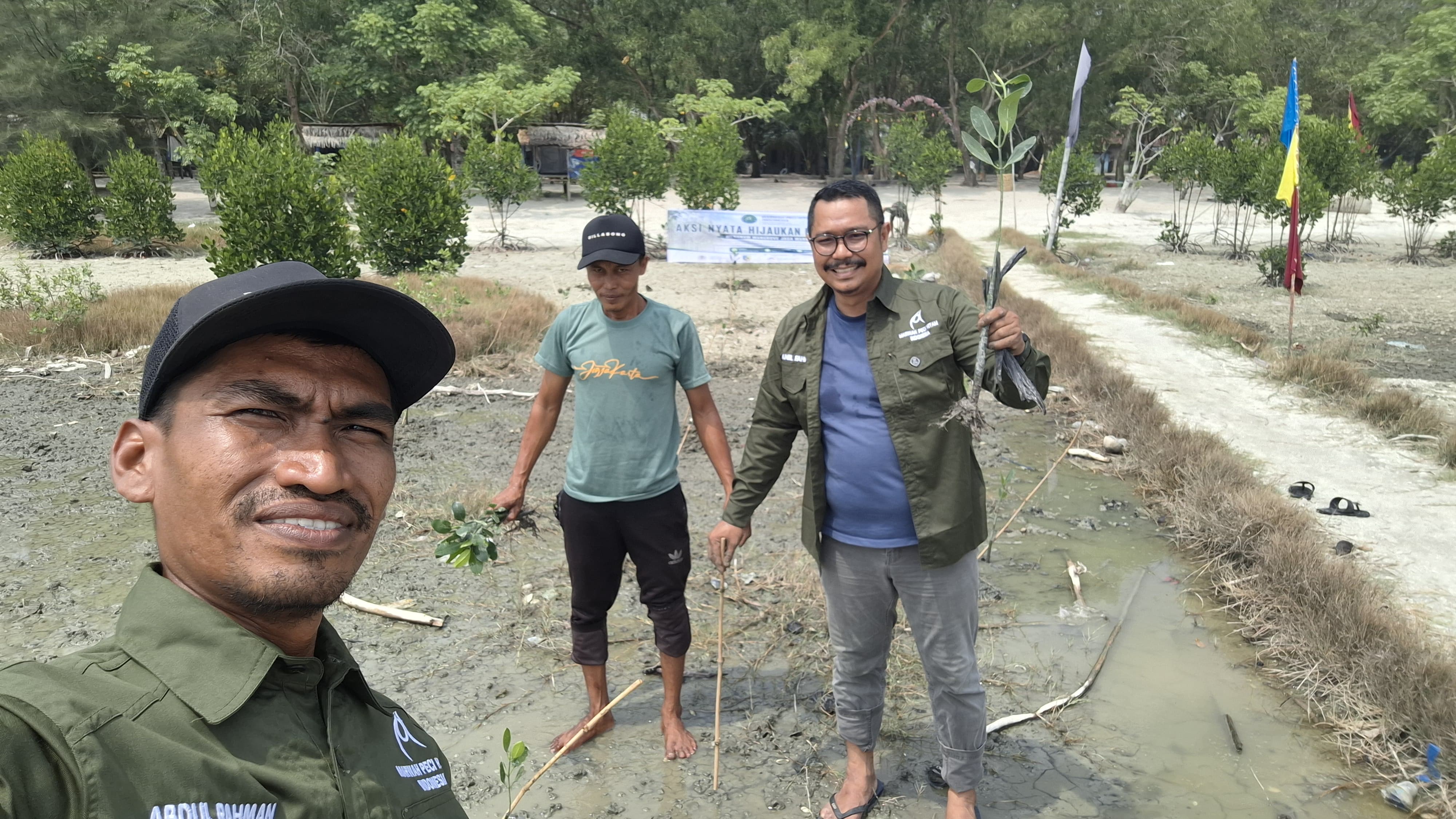Menanam Mangrove