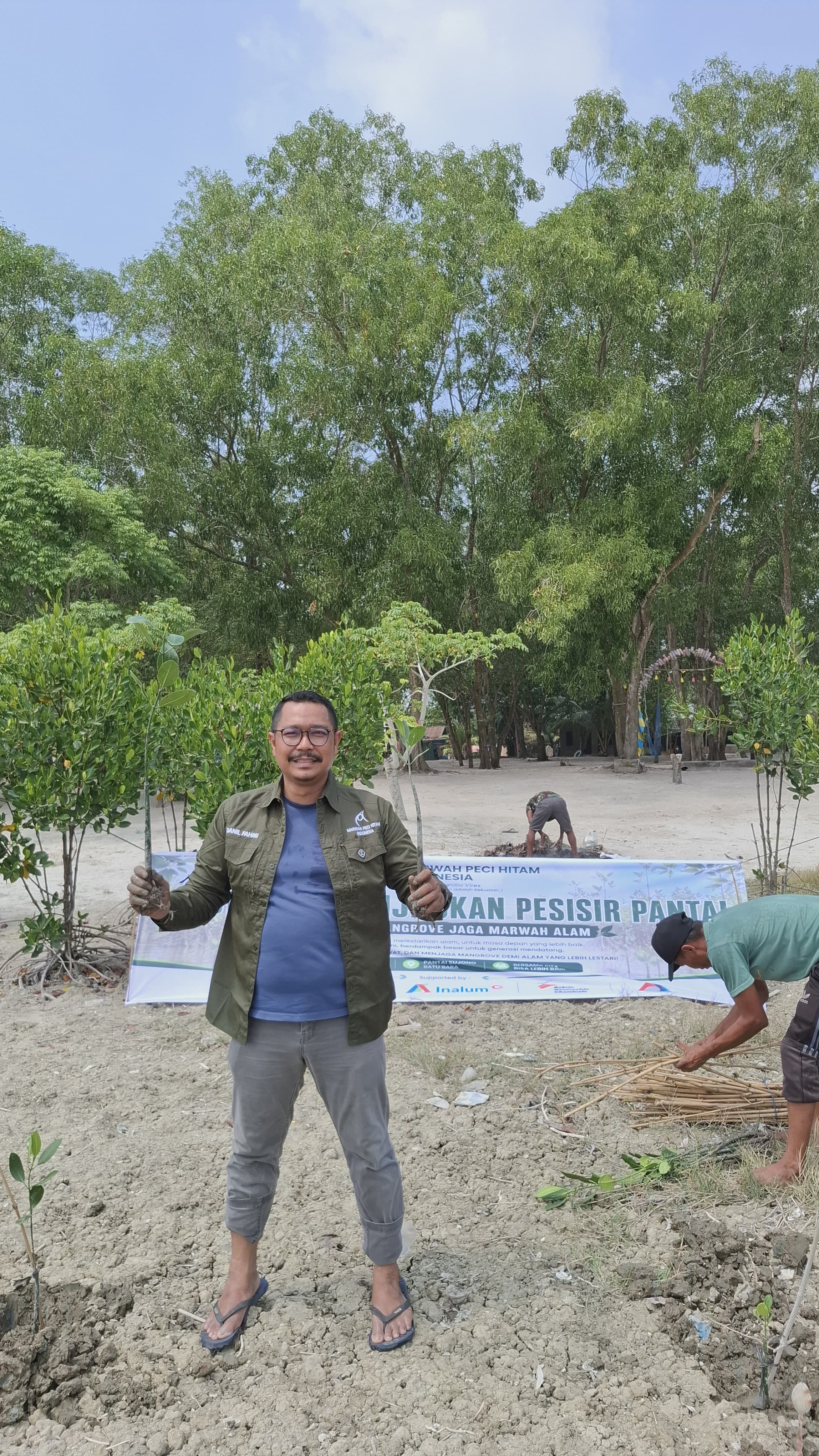 Menanam Mangrove